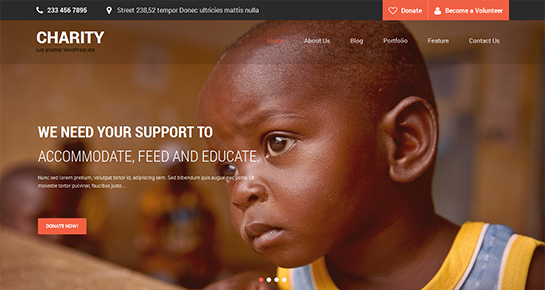 charity WordPress theme