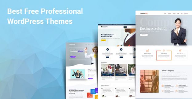 Free Professional WordPress Themes For Professional Sites