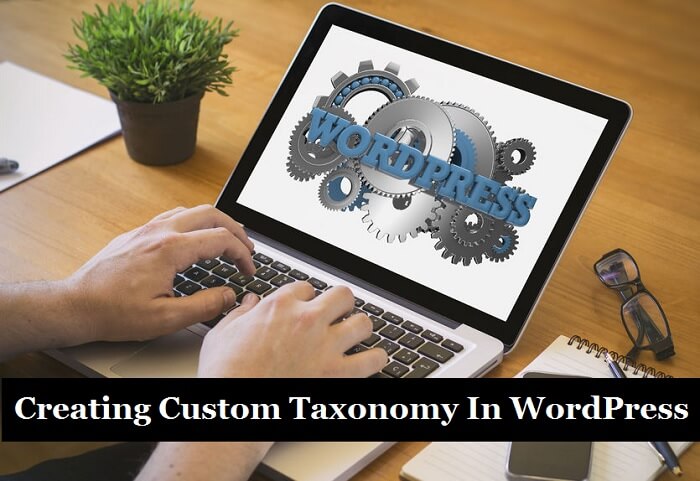 creating-a-custom-taxonomy-in-wordpress-skt-themes