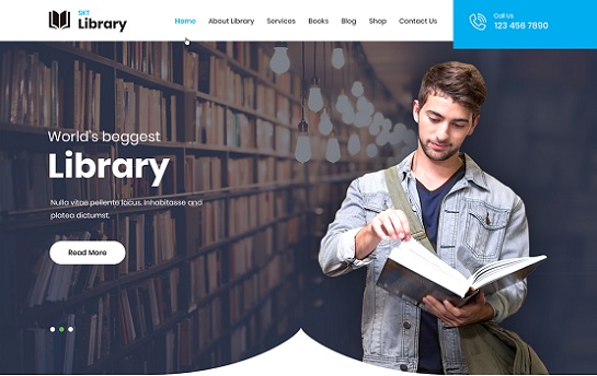Library WordPress theme
