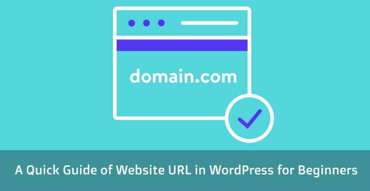 A Quick Guide Of Website URL In WordPress For Beginners SKT Themes