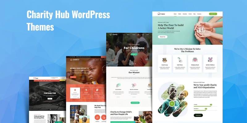 Charity Hub WordPress Themes