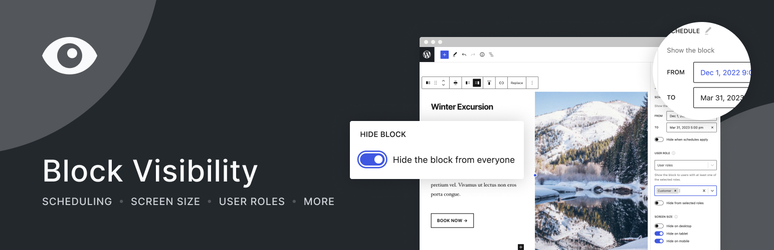 block visibility conditional visibility control for the block editor