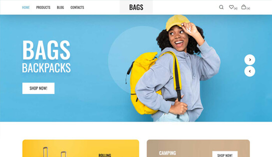 Bag Store WordPress Theme
