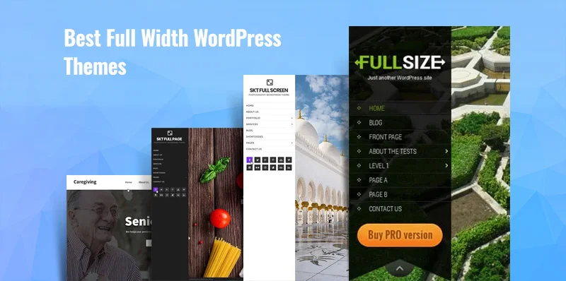 15 Best Full Width WordPress Themes for Full Screen Website